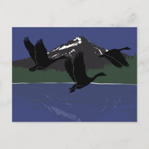 Carte Postale Bernaches du Canada volant au-dessus du Mountain L