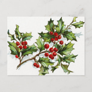 Carte Postale Berries001