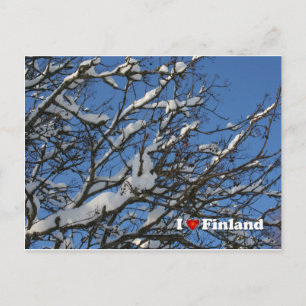 Carte Postale Berries d'hiver