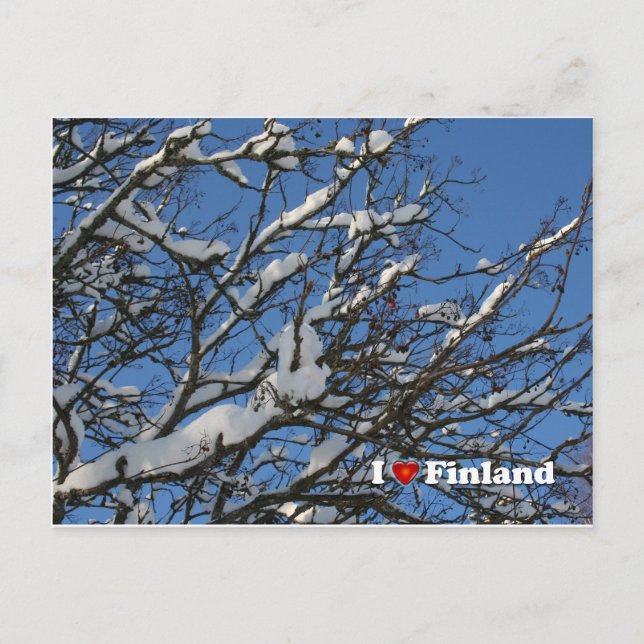 Carte Postale Berries d'hiver (Devant)