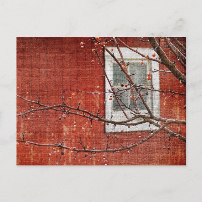 Carte Postale Berries et Grange (Devant)