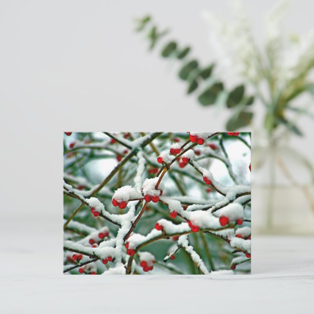 Carte Postale Berries rouges dans la neige (2025) (Debout devant)