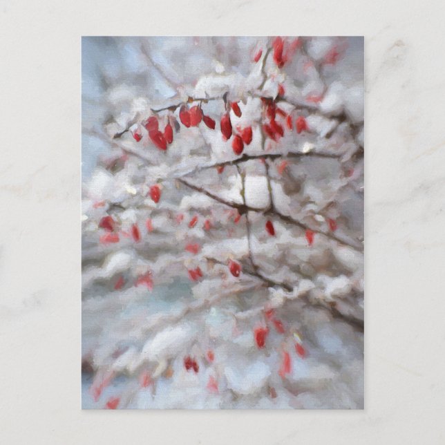 Carte Postale Berry rouge Bush en peinture hivernale (Devant)