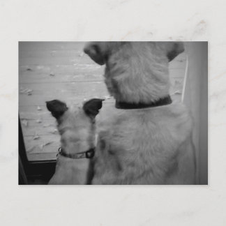 Carte postale Best Friends