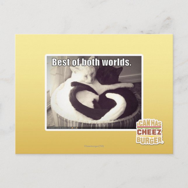 Carte Postale Best of both worlds. (Devant)