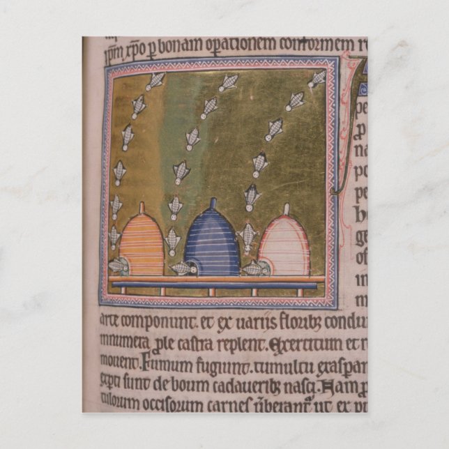 Carte Postale Bestiary Three curved lines (Devant)