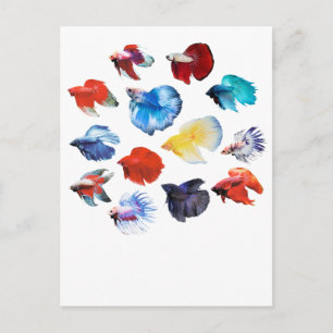 Carte Postale Bêta 2