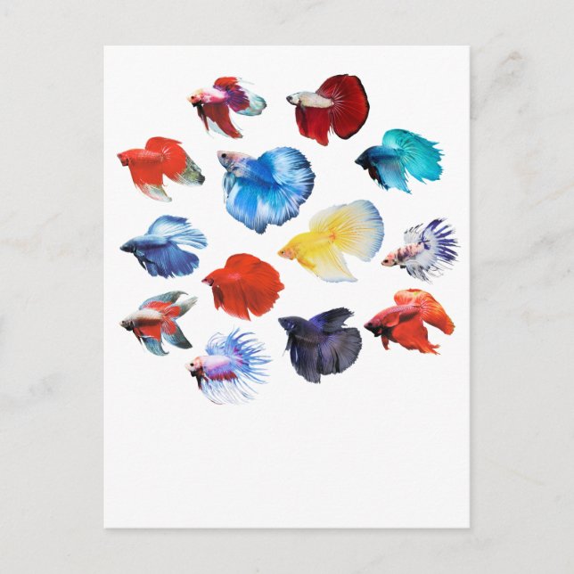 Carte Postale Bêta 2 (Devant)