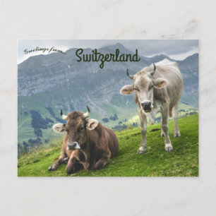 Carte Postale Bétail en Suisse