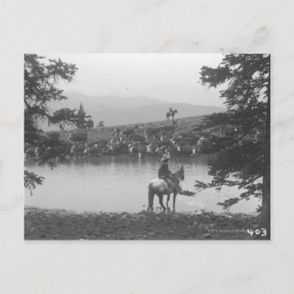 Carte Postale Béton près d'un étang avec deux cowboys.