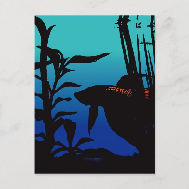 Carte Postale Betta Le Croit (Devant)