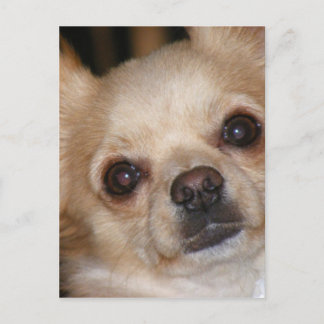 Carte Postale Beurre