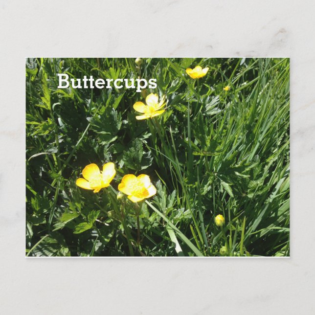 Carte Postale Beurre, fleur, photo (Devant)