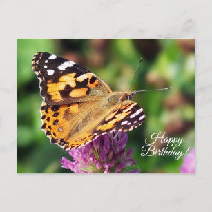 Joyeux Anniversaire Papillon Cartes Postales Pas De Quantite Minimum Zazzle