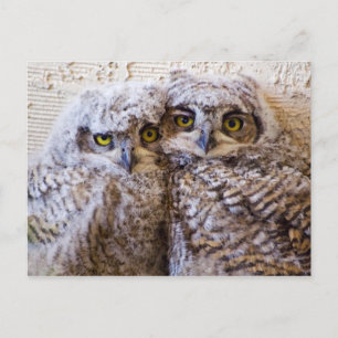 Carte Postale BFF - Les meilleurs amis pour toujours