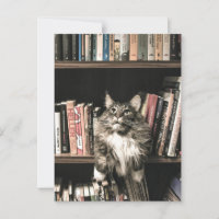 Bibliothèque de livres de chats Postrcossing