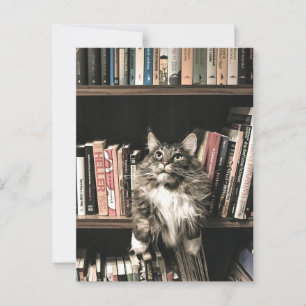 Carte Postale Bibliothèque de livres de chats Postrcossing