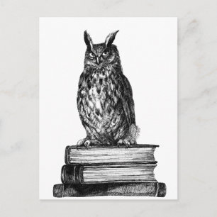 Carte Postale Bibliothèque Owl