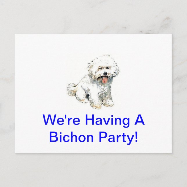 Carte Postale Bichon Frise (Devant)