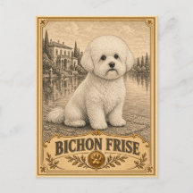 Bichon Frise, Chien du Patrimoine Vintage