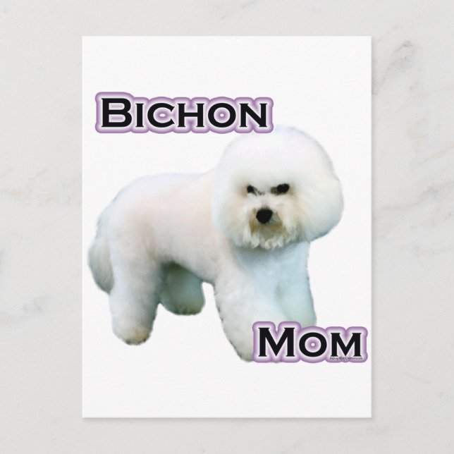 Carte Postale Bichon Frise Maman 4 (Devant)