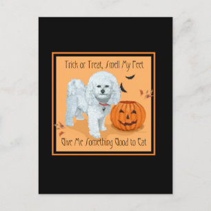 Carte Postale Bichon Frise Trick or Treat