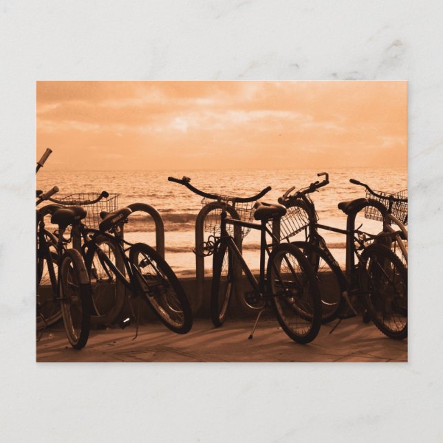 Carte Postale "Bicycles" Postcard (Devant)