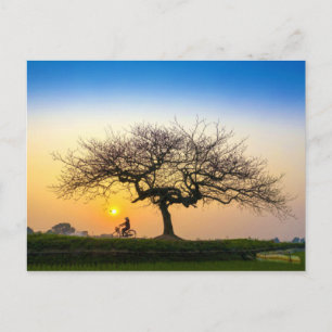 Carte Postale Bicyclette Coucher De Soleil Circuler Sous Arbre N
