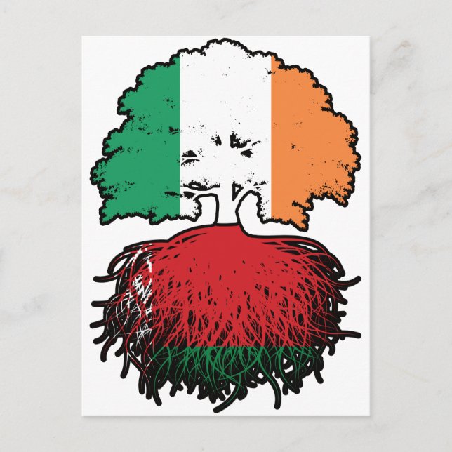 Carte Postale Biélorussie Irlande Biélorusse Drapeau des racines (Devant)