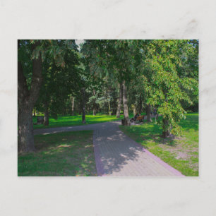 Carte Postale Biélorussie Minsk Parc Vie Cityscape Nature