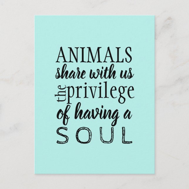 Carte Postale Bien-être des animaux (Devant)