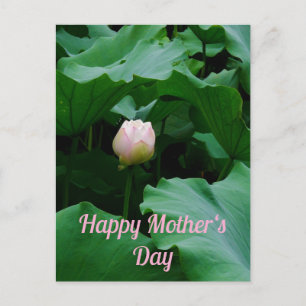 Carte Postale Bientôt florissante