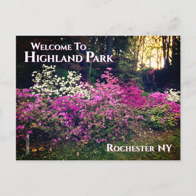 Carte postale - Bienvenue à Highland Park Rocheste (Devant)