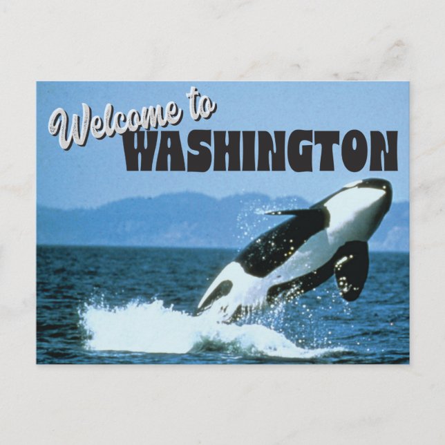 Carte Postale Bienvenue à Washington State avec Orca Whale (Devant)