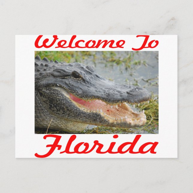 Carte Postale Bienvenue au Gator de Floride (Devant)