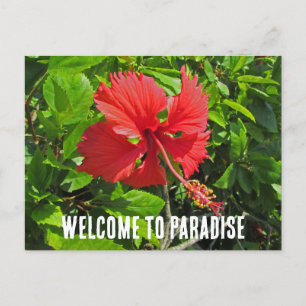 Carte Postale Bienvenue au Paradis Maison de Plage Fleur Tropica