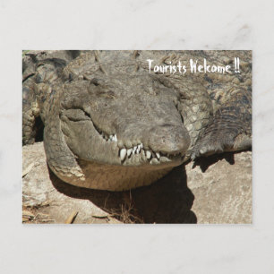Carte Postale Bienvenue aux touristes ! ! - Crocodile -