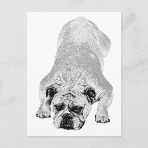 Carte Postale Bienvenue chaleureuse de l'hiver Bouledogue
