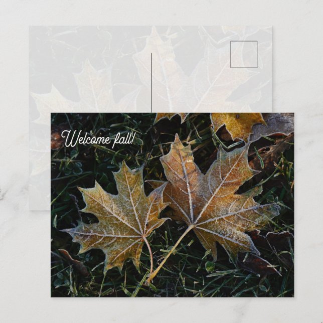 Carte Postale Bienvenue feuilles d'automne (Devant / Derrière)
