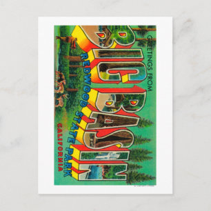 Carte Postale Big Basin, Californie - Scènes de grandes lettres