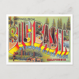 Carte postale Big Basin, Californie Vintage Big Le