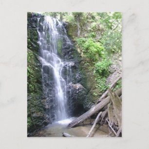 Carte Postale Big Basin, Montagnes Père Noël Cruz