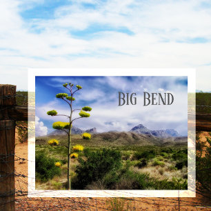 Carte Postale Big Bend Landcape, Century Plante Blossom, TX