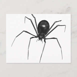 Carte Postale Big Black Déplaisant 3D Spider