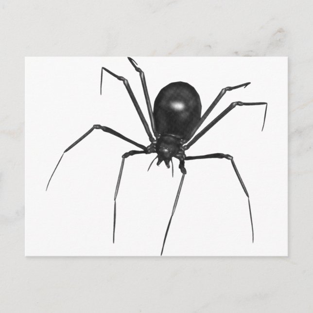 Carte Postale Big Black Déplaisant 3D Spider (Devant)