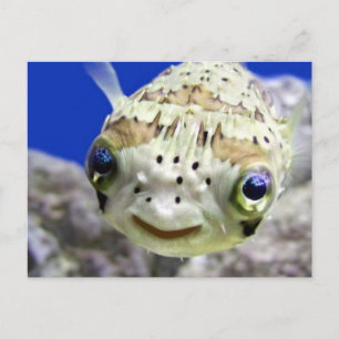 Carte Postale Big Blue Eyes