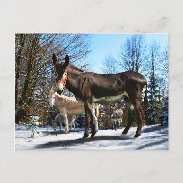 Carte Postale "Big Boy & Company" (Devant)