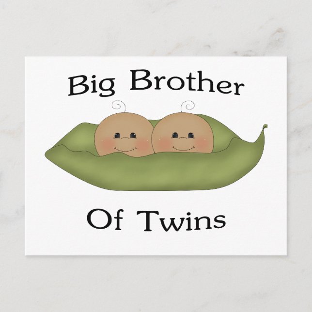 Carte Postale Big Brother Des Jumeaux (Devant)
