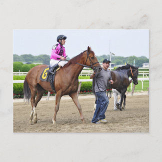 Carte Postale Big Business, Belmont Park