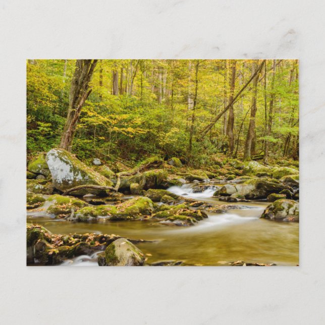 Carte Postale Big Creek | Caroline du Nord (Devant)